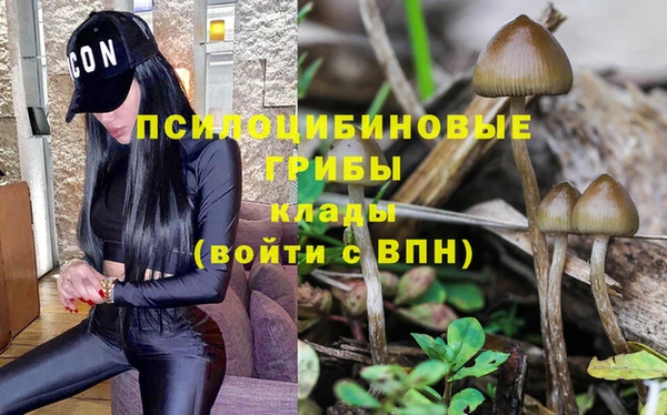 MESCALINE Верея